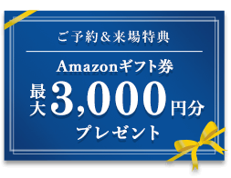 Amazonギフト券3000円プレゼント